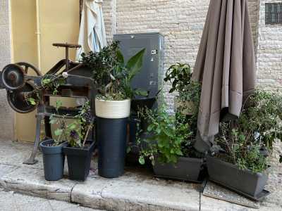 Dopo qualche decina di metri, superata la storica osteria Paglionico, avvistiamo sulla destra l'oggetto della �discordia�